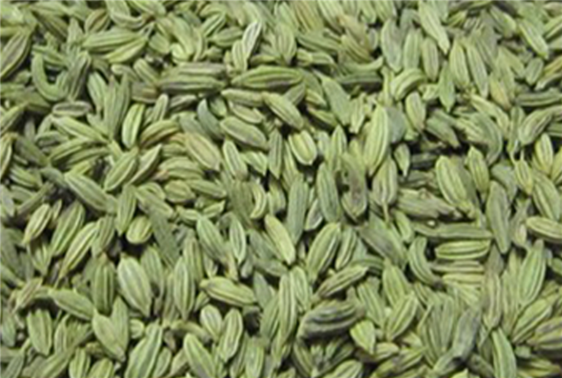 Fennel Seeds 